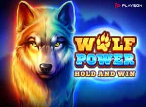 Обзор слота для онлайн-казино Wolf Power
